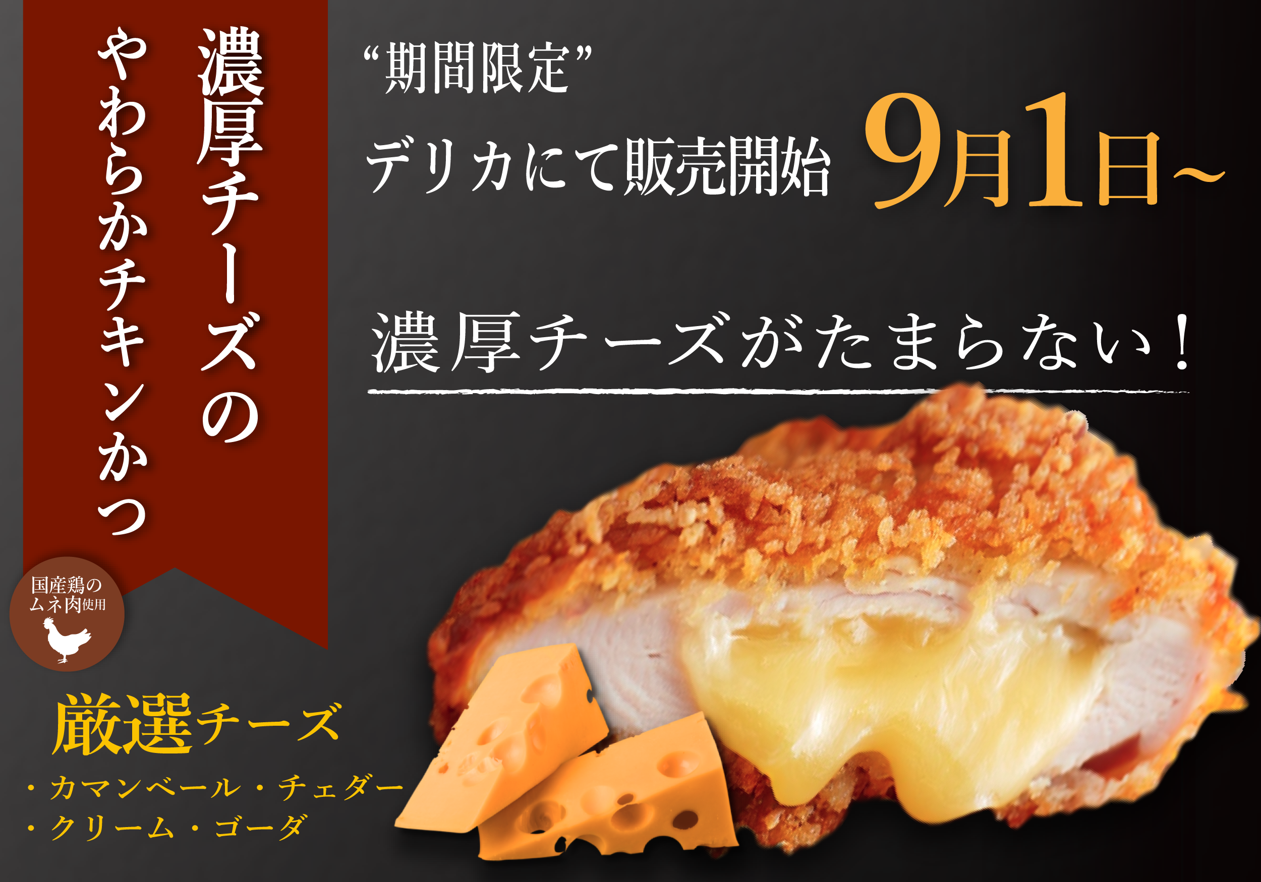 やわらかチキンかつのバナーパターンB